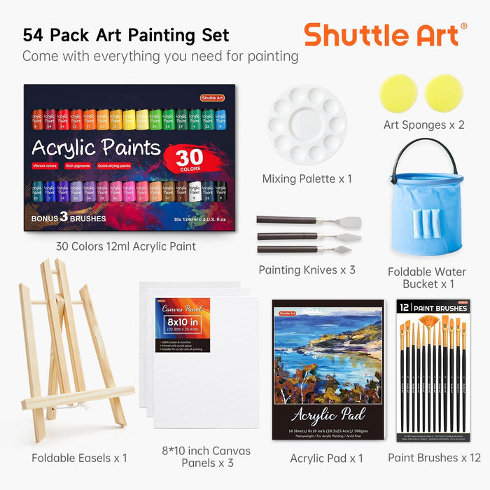 Acrylic Painting Set - 54 Pack