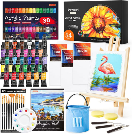 Acrylic Painting Set - 54 Pack