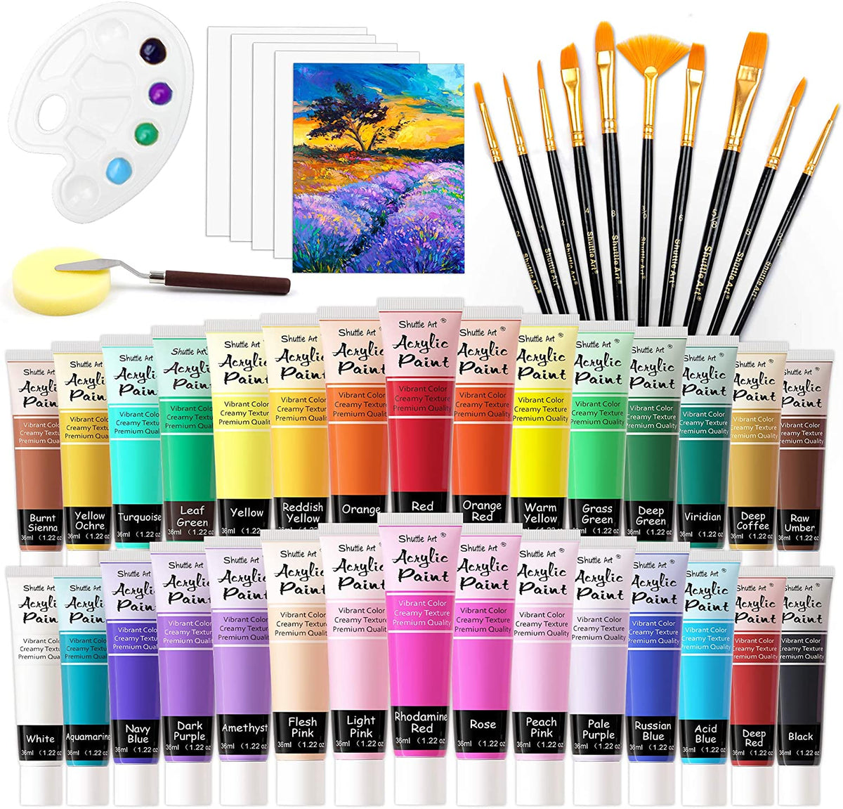 Shuttle Art 46 Pack Acrylic Paint Set, 30 Colors Acrylic Paint with 10  Paint Brushes 3 Painting Canvas 1 Paint Knife Palette Sponge, Complete Gift  Set